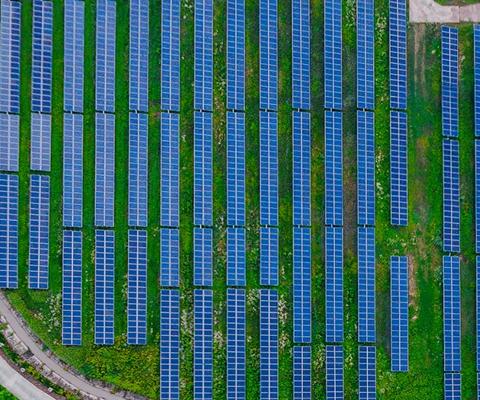 Image for Our Experience page CTA banner