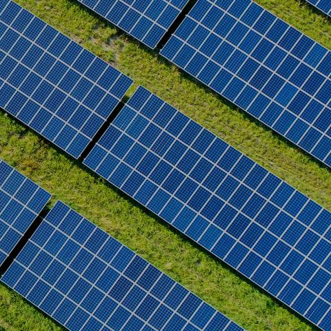 banner-join-us-IPP-NAM