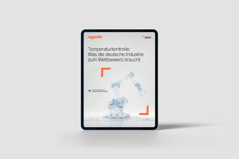 TC report IPad Mockup 1 DE