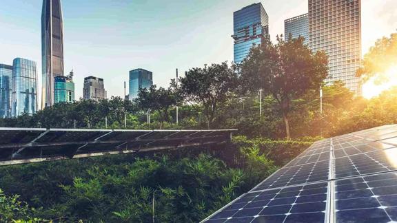 solar%20panel%20city%20and%20vegetation.jpg
