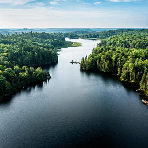 Aerial view of a lake and forest in Canada
