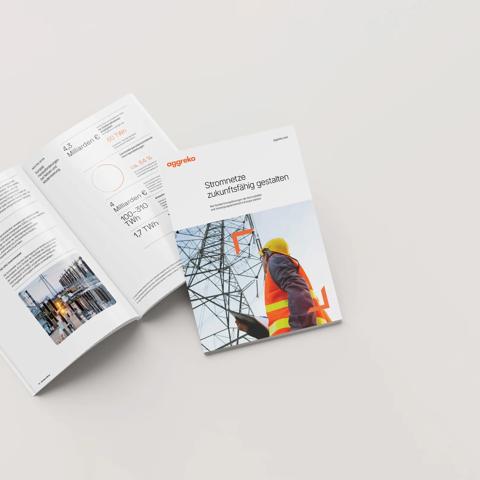 Website hero - Breaking the gridlock report DE