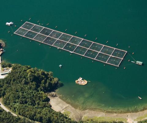 GettyImages-521744552