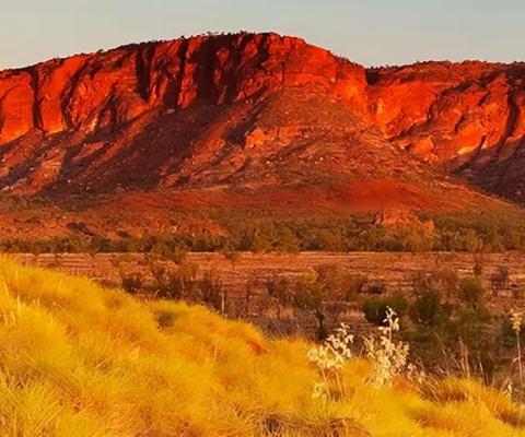 Hero image for powering a sustainable future Landing page 