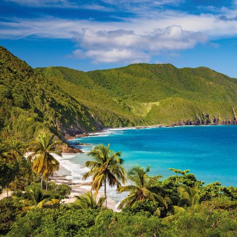 panoramic view of Carambola Beach St.Croix US Virgin Islands