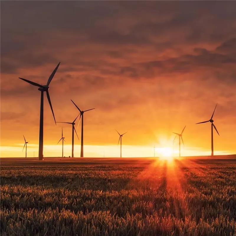 Multiple wind turbines scattered on a field against a sunset sky